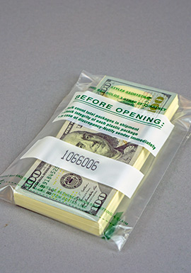 Tamper Evident One Strap Deposit Bag