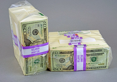Tamper Evident One Strap Deposit Bag